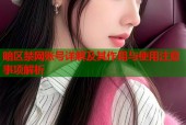 暗区禁网账号详解及其作用与使用注意事项解析