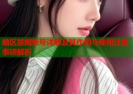 暗区禁网账号详解及其作用与使用注意事项解析