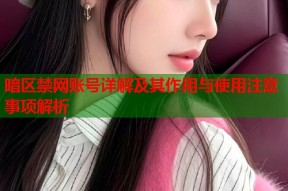 暗区禁网账号详解及其作用与使用注意事项解析