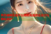 黄色暗网交易平台揭秘高速匿名支付与隐私保护