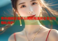 黄色暗网交易平台揭秘高速匿名支付与隐私保护