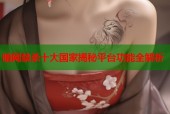 暗网禁杀十大国家揭秘平台功能全解析