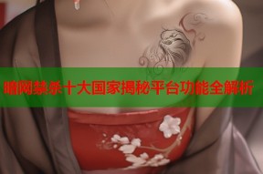 暗网禁杀十大国家揭秘平台功能全解析