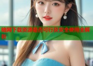 暗网下载资源是否可行及安全使用全解析