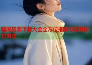 暗网资源下载大全全方位指南与实用技巧分享