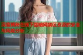 深度揭秘在线下载暗网禁区资源的安全与风险分析