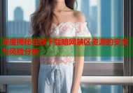深度揭秘在线下载暗网禁区资源的安全与风险分析