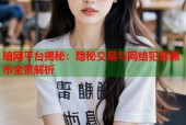 暗网平台揭秘：隐秘交易与网络犯罪黑市全景解析