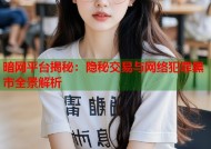 暗网平台揭秘：隐秘交易与网络犯罪黑市全景解析