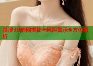 禁漫3D暗网揭秘与风险警示全方位解析