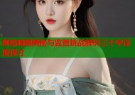 网络暗网揭秘与监管挑战解析三十字深度探讨