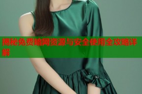 揭秘免费暗网资源与安全使用全攻略详解