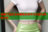 暗网下载安全吗揭秘必知平台功能与风险分析