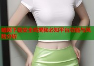 暗网下载安全吗揭秘必知平台功能与风险分析