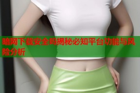 暗网下载安全吗揭秘必知平台功能与风险分析
