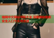 暗网中文网站导航大全 深度揭秘最新安全入口与实用资源