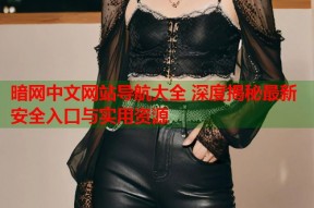 暗网中文网站导航大全 深度揭秘最新安全入口与实用资源