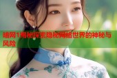暗网1揭秘探索隐秘网络世界的神秘与风险