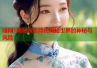暗网1揭秘探索隐秘网络世界的神秘与风险