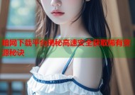 暗网下载平台揭秘高速安全获取稀有资源秘诀