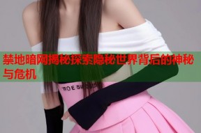禁地暗网揭秘探索隐秘世界背后的神秘与危机