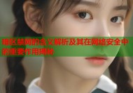 暗区禁网的含义解析及其在网络安全中的重要作用揭秘
