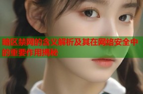 暗区禁网的含义解析及其在网络安全中的重要作用揭秘