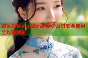 暗区禁网app密码是多少及其安全使用全攻略解析