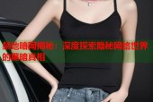 禁地暗网揭秘：深度探索隐秘网络世界的黑暗真相
