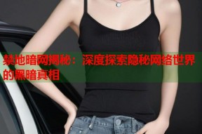禁地暗网揭秘：深度探索隐秘网络世界的黑暗真相