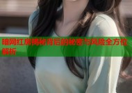 暗网红房揭秘背后的秘密与风险全方位解析
