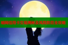 暗网信用卡交易揭秘及风险防范全攻略