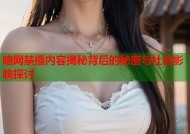 暗网禁播内容揭秘背后的秘密与社会影响探讨