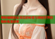 揭秘暗网地址背后的秘密与网络世界的隐秘角落探索