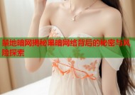 禁地暗网揭秘黑暗网络背后的秘密与风险探索
