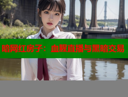 暗网红房子：血腥直播与黑暗交易  第1张
