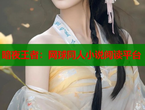 暗夜王者：网球同人小说阅读平台  第2张
