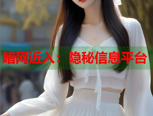 暗网近入：隐秘信息平台  第1张