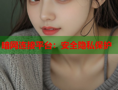 暗网连接平台：安全隐私保护  第1张