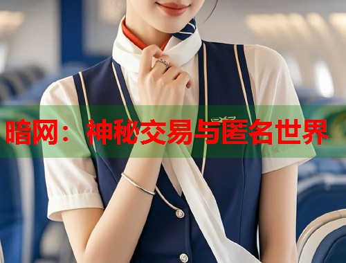 暗网：神秘交易与匿名世界  第1张
