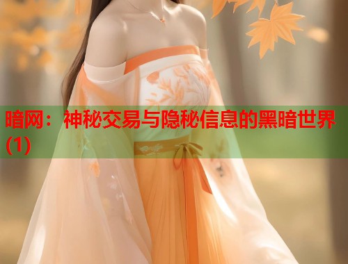 暗网：神秘交易与隐秘信息的黑暗世界(1)  第1张