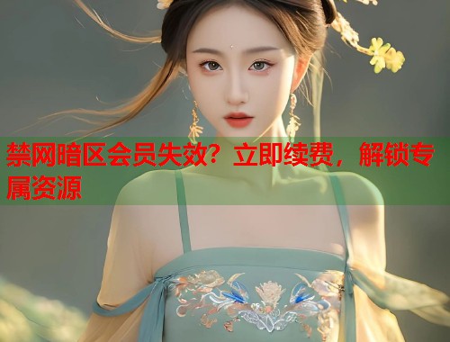 禁网暗区会员失效？立即续费，解锁专属资源  第1张