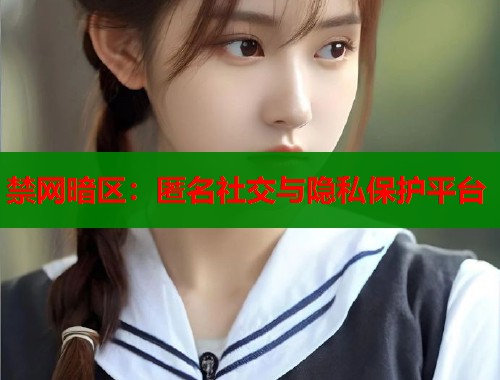禁网暗区：匿名社交与隐私保护平台  第1张