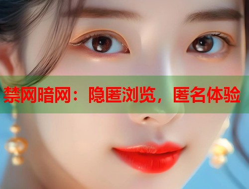 禁网暗网：隐匿浏览，匿名体验  第2张
