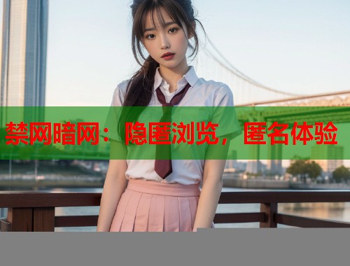 禁网暗网：隐匿浏览，匿名体验  第1张