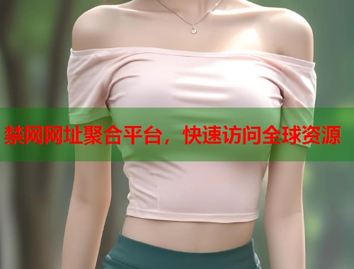 禁网网址聚合平台，快速访问全球资源  第1张