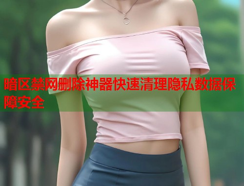 暗区禁网删除神器快速清理隐私数据保障安全  第1张