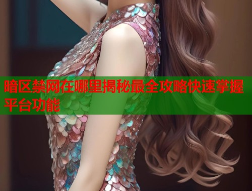 暗区禁网在哪里揭秘最全攻略快速掌握平台功能  第1张