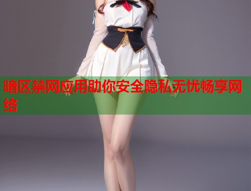 暗区禁网应用助你安全隐私无忧畅享网络  第1张