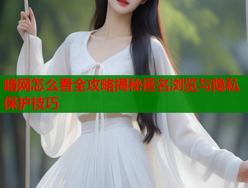 暗网怎么看全攻略揭秘匿名浏览与隐私保护技巧  第1张